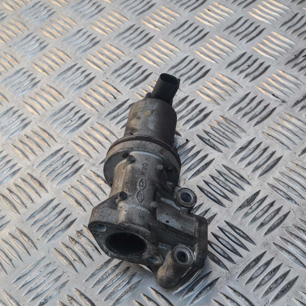 Leaking Egr Valve? Find The Kia Ceed Egr Valve Location Before It Dies! - 5p8bekx